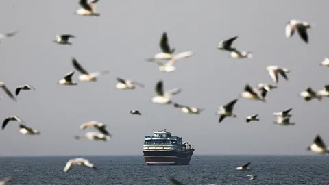 Global News Podcast, Iran widens retaliatory attacks in Gulf countries