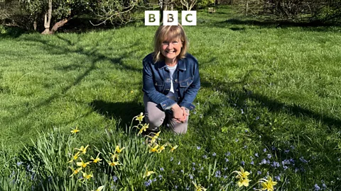 Open Country, Open Country, In Celebration of the Daffodil
