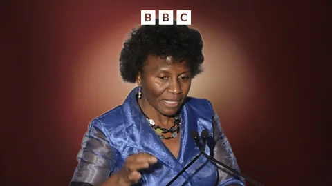 The Interview, The Interview, Joy Phumaphi, African Leaders Malaria Alliance: Malaria is an all of society challenge