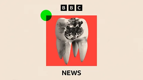 Reporter Reads, Reporter Reads, NHS dentistry is rotting. Will the plan to fix it work?