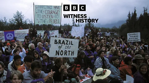 Witness History, Witness History, The war in the woods