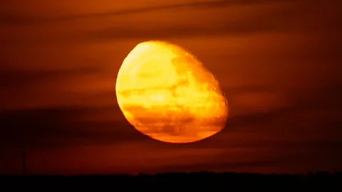 Newshour, Newshour, Artemis II successfully flies by Moon's far side