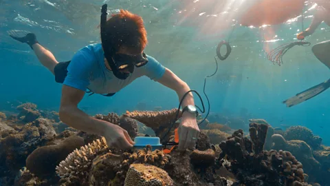 Changing Planet Season 3 Episode 1