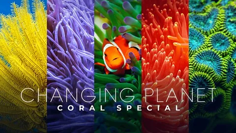 Changing Planet: Coral Special