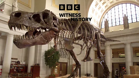 Witness History, Witness History, Finding the world’s most complete T-rex fossil