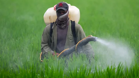 World Business Report, Is the ceasefire in the Gulf too late to stop food prices rising?