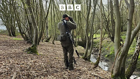 Open Country, Open Country, Deer Stalking in Essex