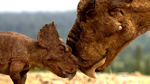 Baby Pachyrhinosaurus struggles to survive in the wilderness