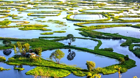 Getty Images 1015836388