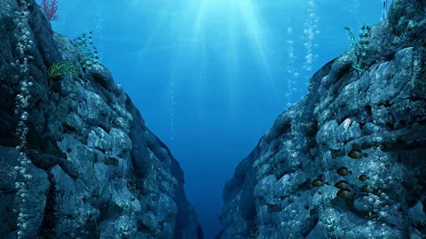 The Documentary Podcast, In Our Time: The Mariana Trench