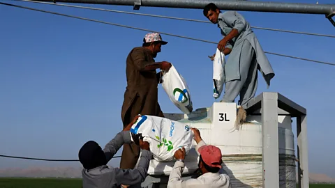 Newshour, Newshour, Risk of global food shortage from Iran War