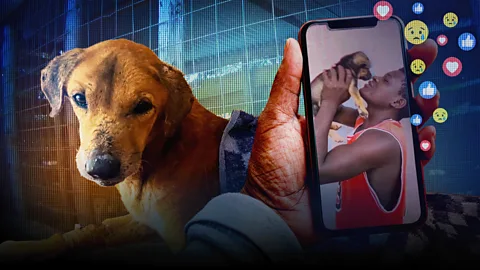 The Documentary Podcast, For the love of dogs