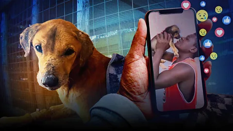 The Documentary Podcast, For the love of dogs