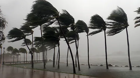 Living through a world of weather extremes
