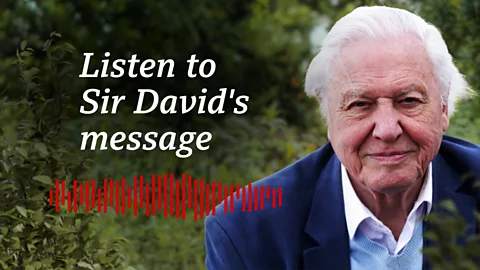 Sir David Attenborough says thank you for birthday messages