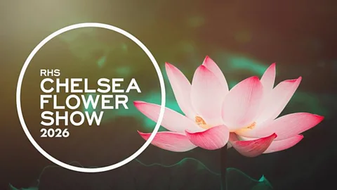 RHS Chelsea Flower Show 2026