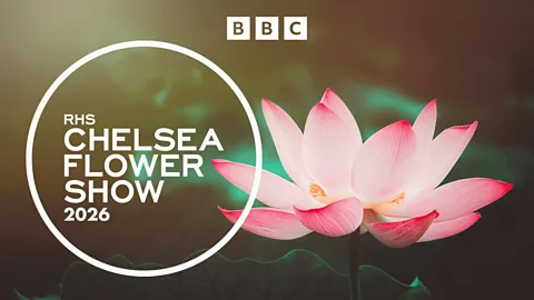 RHS Chelsea Flower Show Season 2026 Episode 1