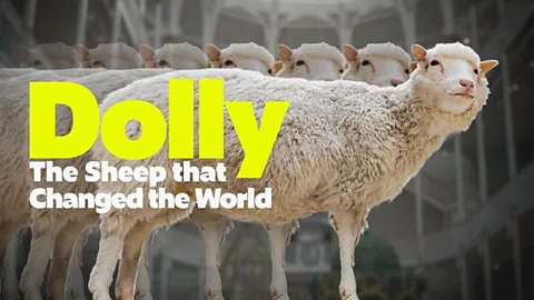 Dolly: The Sheep that Changed the World