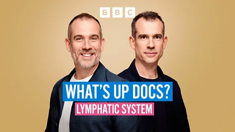 What's Up Docs?, What's Up Docs?, Do our lymphatic systems need a detox?