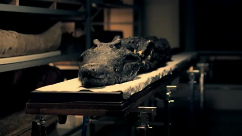 Animal gods signaled Egypt’s downfall