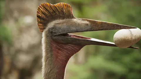Walking with Dinosaurs Season 1 Episode 1