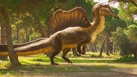 Walking with Dinosaurs Season 1 Episode 2