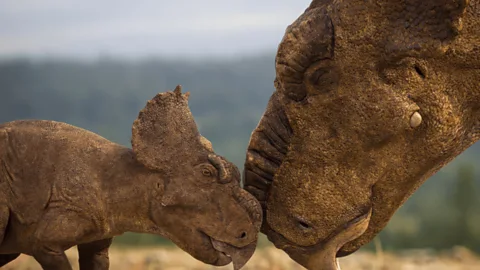 Walking with Dinosaurs Season 1 Episode 5