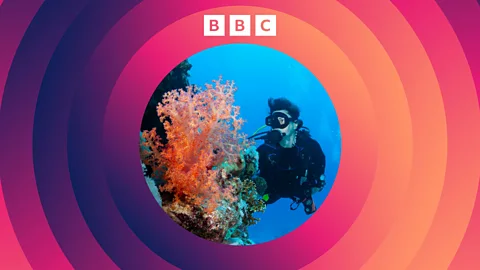 The Climate Question, The Climate Question, Can we save the world's coral?