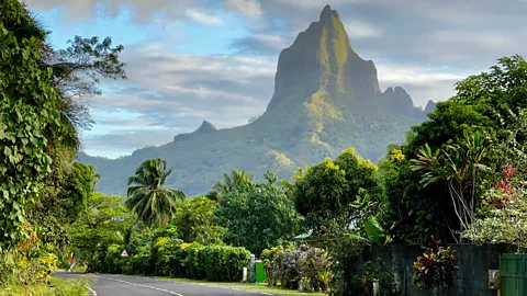 A coastal road curves through lush tropical vegetation on Mo'orea with jagged volcanic peak in the background (Credit: Getty Images)