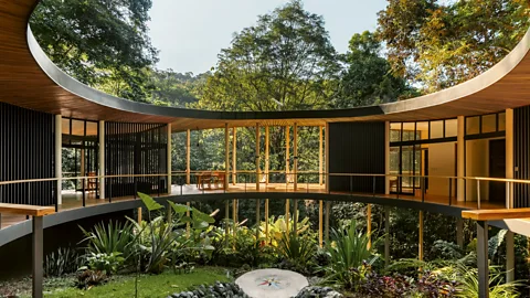 A curved home on stilts in a lush rainforest (Credit: Alvaro Fonseca)