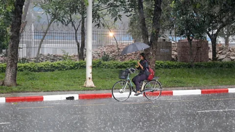 The Global Story, The Global Story, How El Niños change the world
