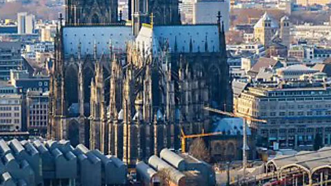 Cologne