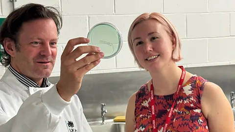 The Documentary Podcast, The social lives of bacteria