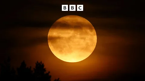 More or Less, Does a full moon make crime rates go up?