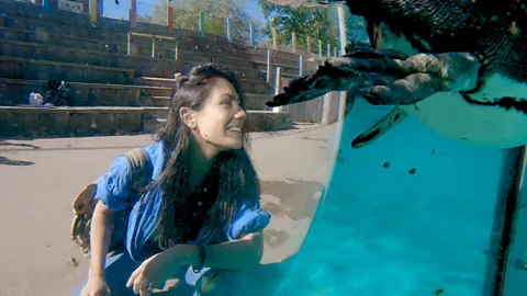The Travel Show Season 8 Episode 8