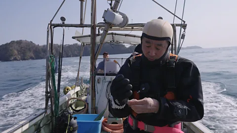 The Documentary Podcast, Diving for Yuko