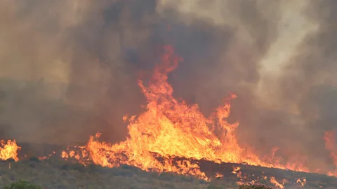 Newshour, Newshour, Spain hit by devastating wildfire