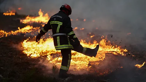 Newshour, Mass evacuations as French wildfires continue