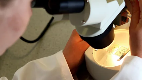 The Global Story, Is embryo selection allowing parents to ‘build-a-baby’?