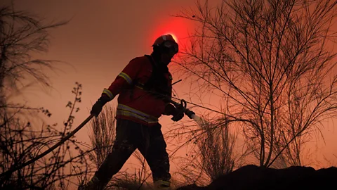 The Documentary Podcast, Wildfires in Europe