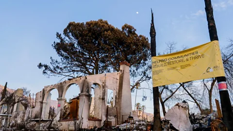 The Documentary Podcast, LA: Rising from the ashes