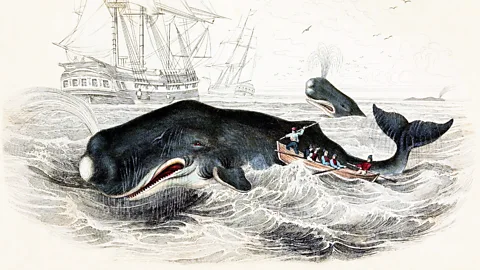 An illustration of Captain Ahab and his men attacking the whale Moby Dick in the ocean (Credit: Getty Images)