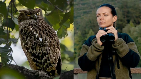 In search of the rare fish owl in Turkey's mountains