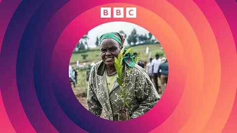 The Climate Question, How do we save Africa's forests?