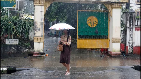 Global News Podcast, El Niño could be 'strongest in living memory'