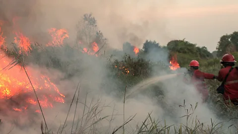 Newshour, How could El Niño affect us?