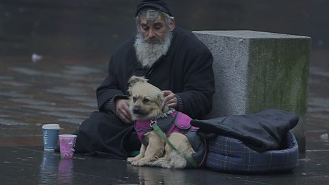 Meet the vet who treats homeless people's pets for free