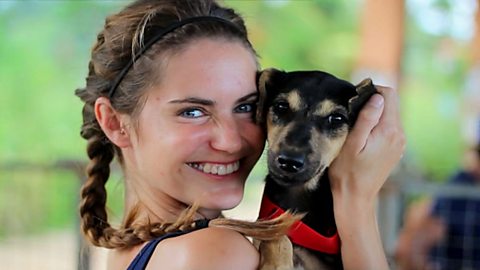 The British vet who moved 5,000 miles away to help stray dogs