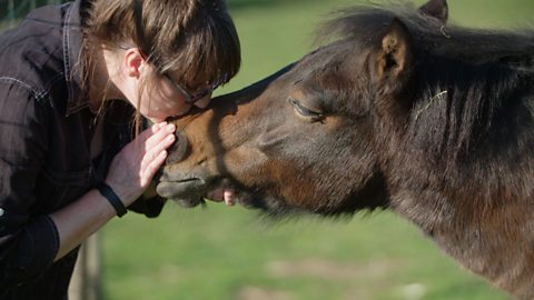 The woman who's given a home to hundreds of animal outcasts