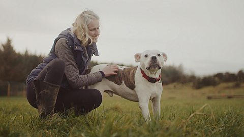 The woman who runs a hospice for dying animals